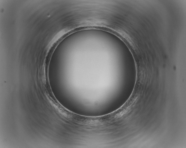 X0000067950982200604131431