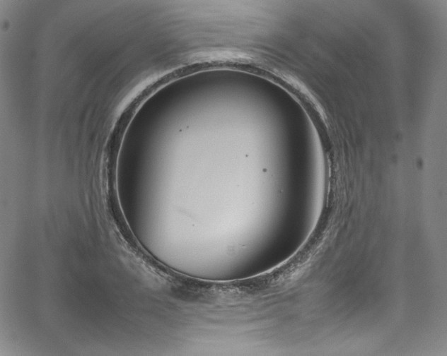 X0000067950983200604131431