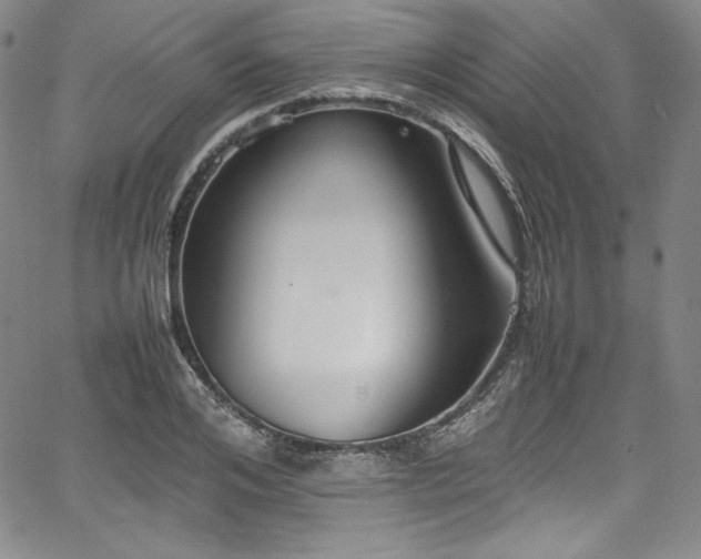 X0000067950984200604131431