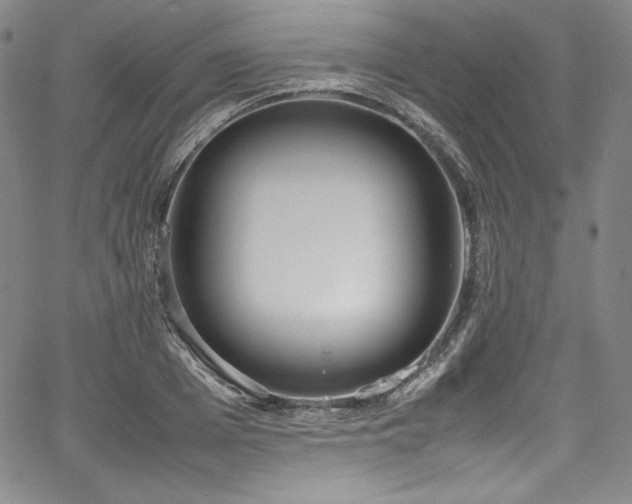 X0000067950985200604131431