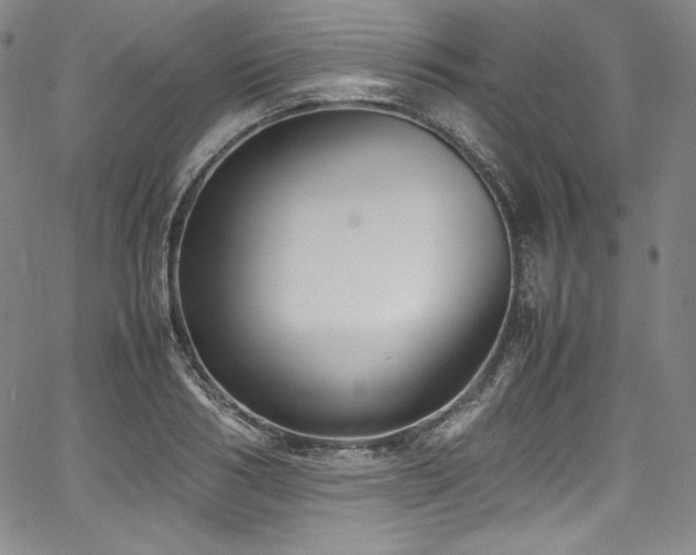 X0000067950986200604131431