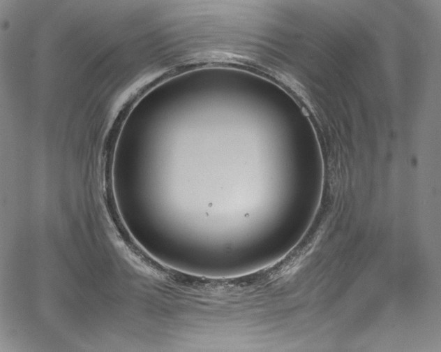 X0000067950987200604131431