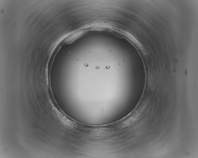 X0000067950988200604131431