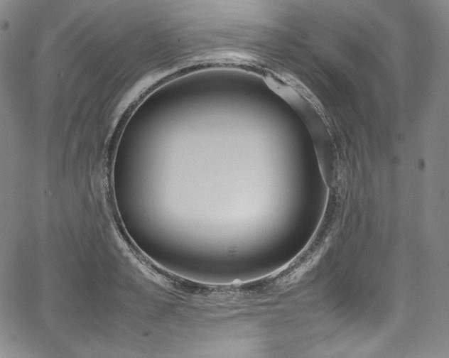 X0000067950989200604131431