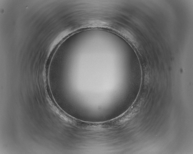 X0000067950990200604131431