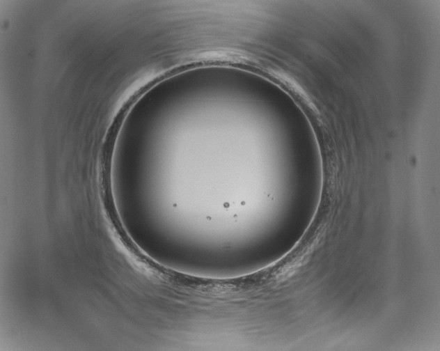 X0000067950991200604131431