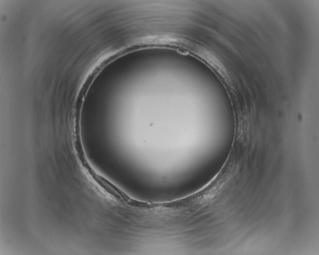 X0000067950992200604131431