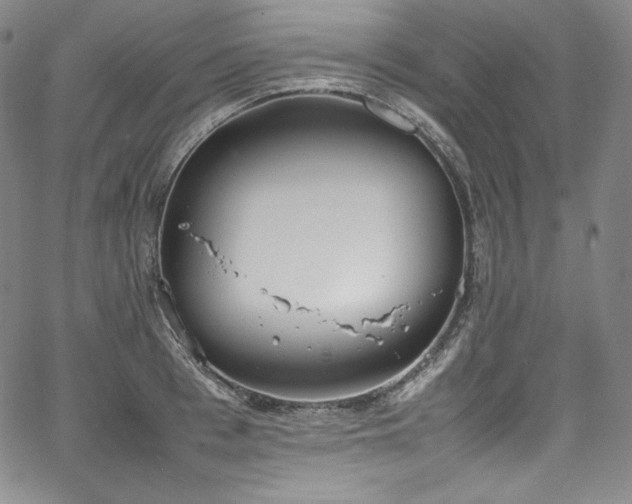 X0000067950993200604131431