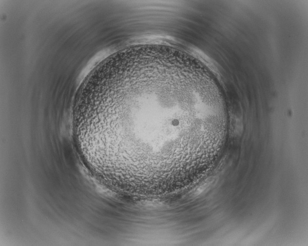 X0000067950994200604131431