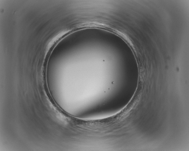 X0000067950995200604131431