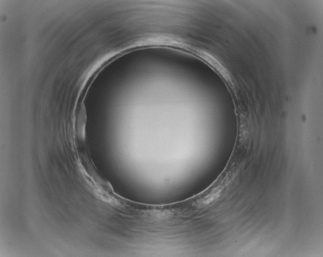 X0000067950996200604131431