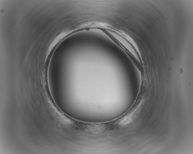 X0000067950997200604131431