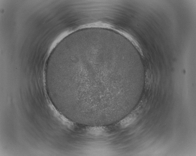 X0000067950998200604131431