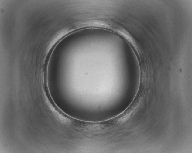 X0000067950999200604131431