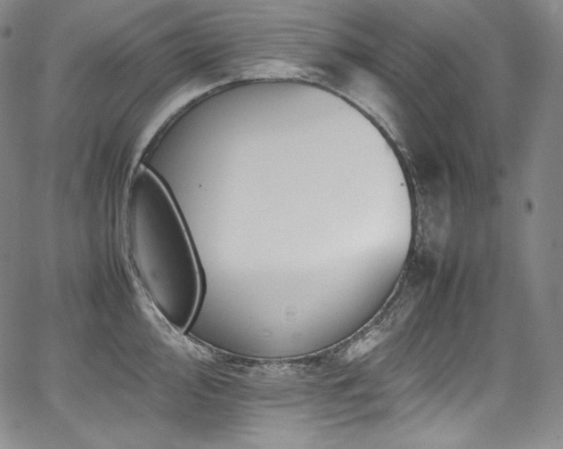 X0000067951000200604131431