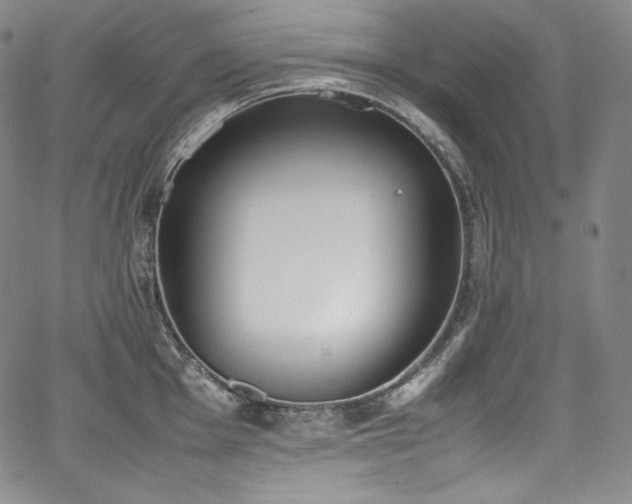 X0000067951001200604131431