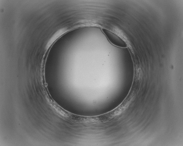 X0000067951002200604131431