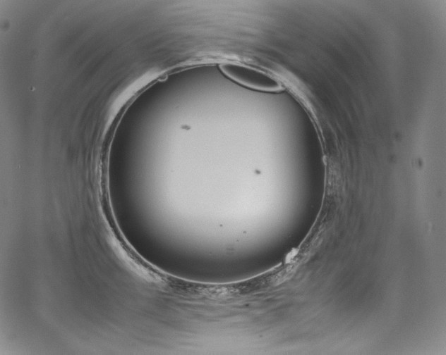 X0000067951003200604131431