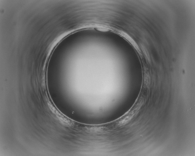 X0000067951004200604131431