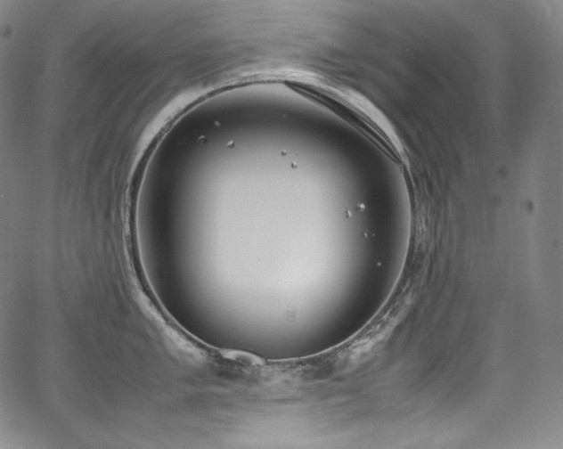 X0000067951005200604131431