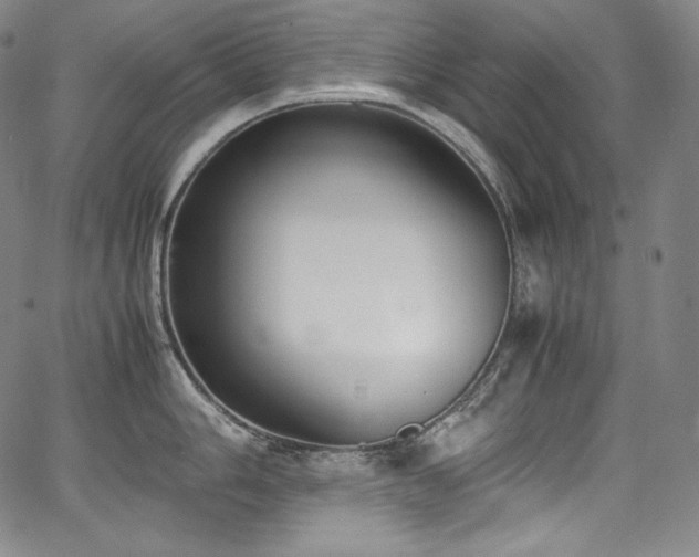 X0000067951006200604131431