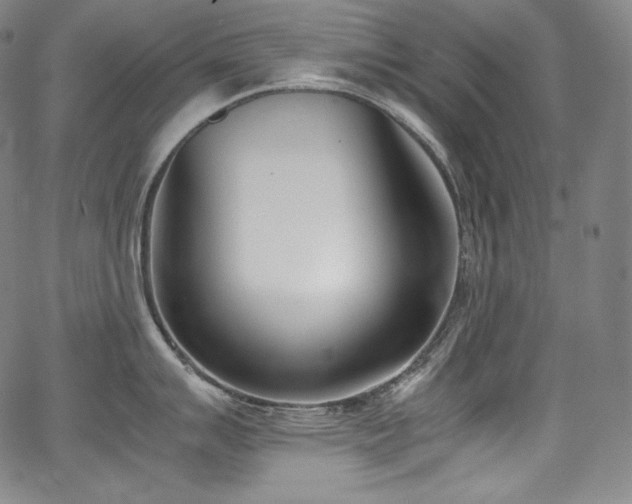 X0000067951007200604131431