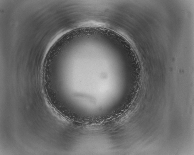 X0000067951008200604131431