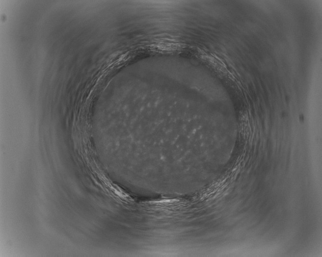 X0000067951009200604131430