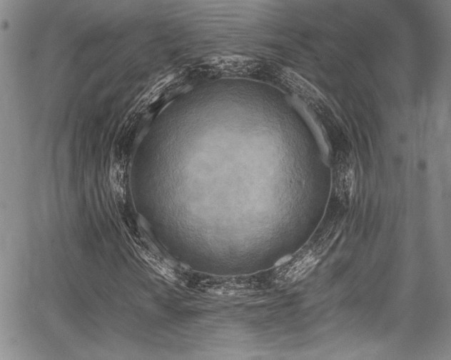 X0000067951010200604131430