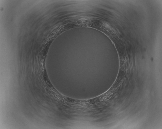 X0000067951013200604131430