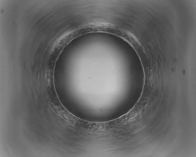 X0000067951016200604131430