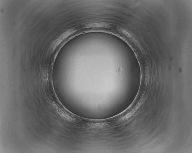 X0000067951017200604131430