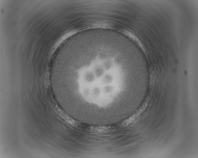 X0000067951019200604131430