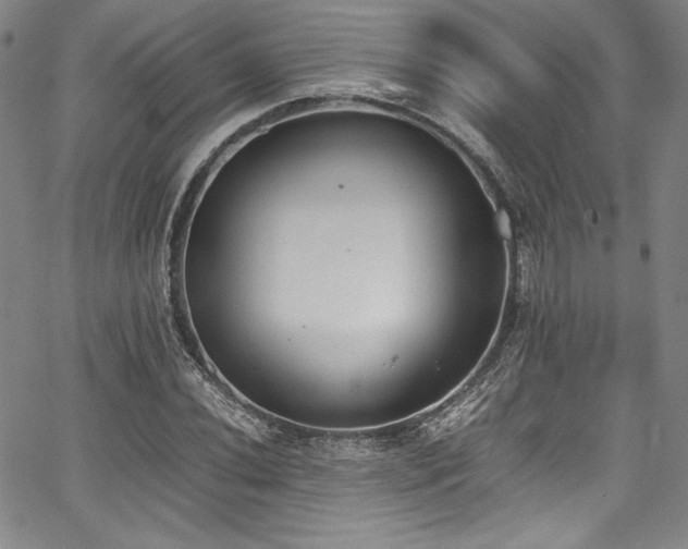 X0000067951020200604131430