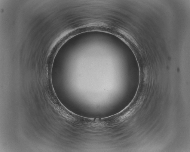 X0000067951021200604131430