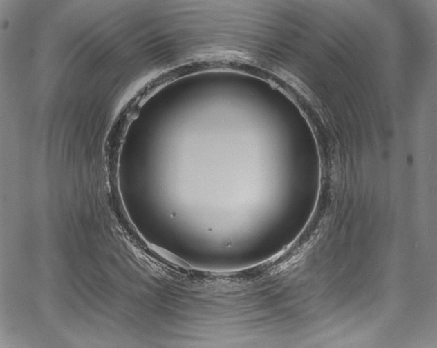 X0000067951022200604131430