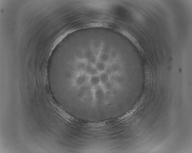 X0000067951023200604131430