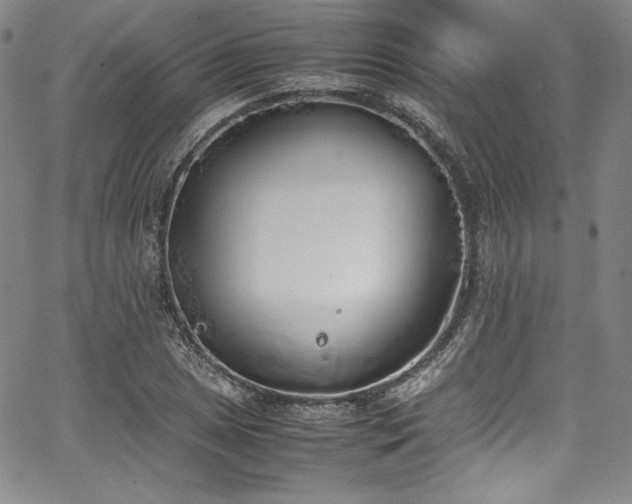 X0000067951025200604131430