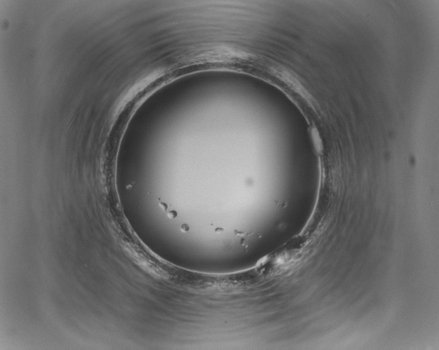 X0000067951026200604131430