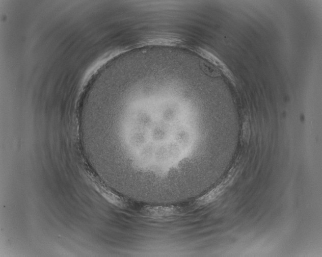 X0000067951027200604131430