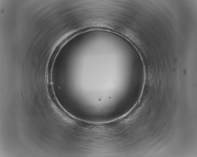 X0000067951028200604131430