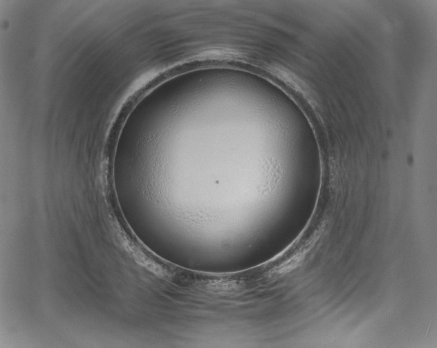 X0000067951029200604131430