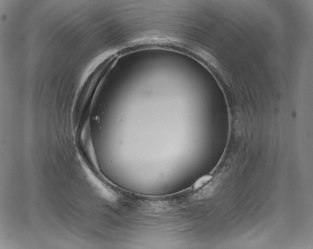 X0000067951030200604131430