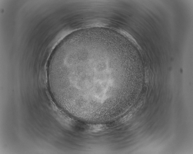 X0000067951031200604131430