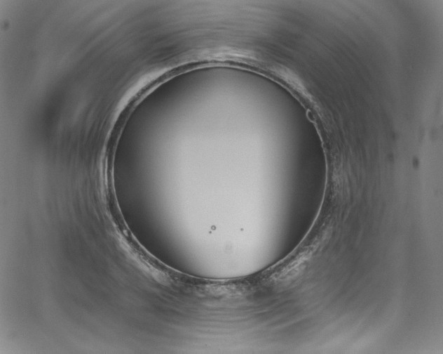 X0000067951032200604131430