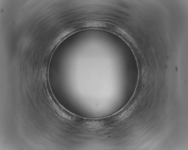 X0000067951033200604131430