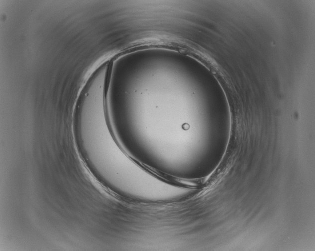 X0000067951034200604131430