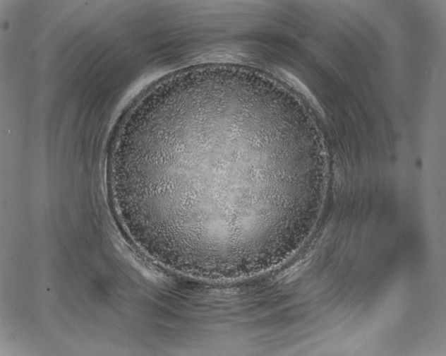 X0000067951035200604131430