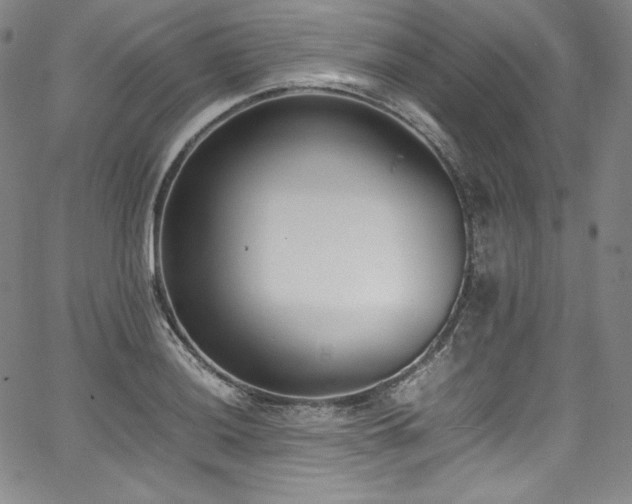 X0000067951036200604131430