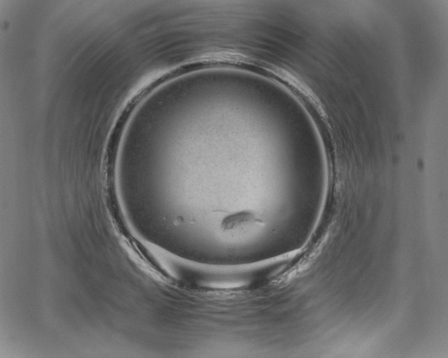 X0000067951037200604131430